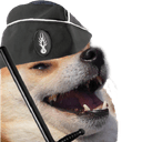 231