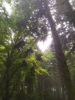 IMG_20210727_192639.jpg