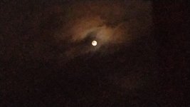 IMG_20210823_003635_1.jpg