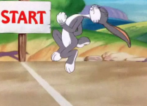 66