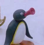 pingou_8732661502514.jpg