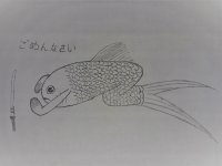 poisson désolé 2.jpg