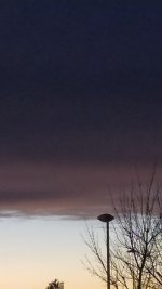IMG_20210219_000521.jpg