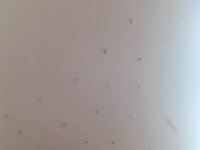 20230323_105238.jpg