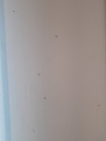20230323_105230.jpg