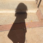 IMG_5236.JPG IMG_5236.JPG