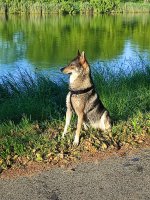 IMG_20240509_195608.jpg