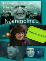 A5975AD4-F8D6-40CD-8D24-A06745DEEF08.jpeg