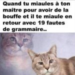 9A4218D9-743C-4954-AD2A-5E23C0BF0275.jpeg