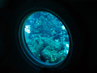 1721420240074.png