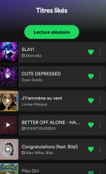 Screenshot_2024-08-23-20-31-05-975_com.spotify.music.png