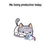 IMG_0168.jpeg