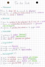 IMG_0162.jpeg