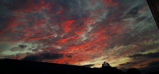 IMG_20241003_202441.jpg