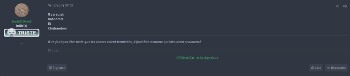 Screenshot 2024-10-14 at 12-52-44 Un truc pour remplacer Omegle.png