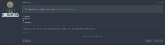 Screenshot 2024-10-14 at 12-51-39 Un truc pour remplacer Omegle.png
