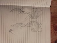 1000004269.jpg