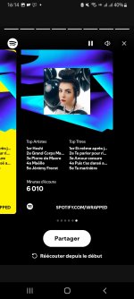 Screenshot_20241208-161409_Spotify.jpg