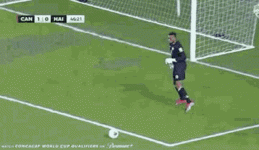 1000052707.gif