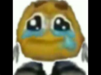 1737302903317.png