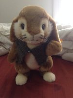 image.jpeg