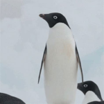 1746281595837.png