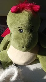 IMG_20250513_081603.jpg