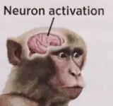 1747319135290.png