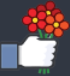 1750450678789.png