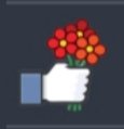 1000011201.jpg