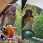 makeitmeme_RjjyI.jpeg