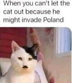Chat nazi.jpg