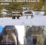 OIP.png