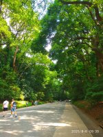 IMG_20250806_093539.jpg