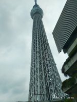IMG_20250807_094037.jpg