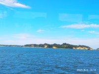 IMG_20250809_141353.jpg