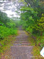 IMG_20250812_110550.jpg