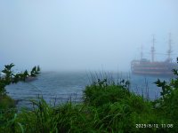 IMG_20250812_110808.jpg