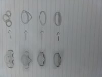 1000000136.jpg