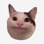 Funny Beluga Meme Cat HD Transparent Background | Citypng