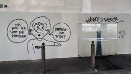 images (41).jpeg