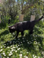 IMG_1769.jpeg