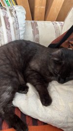 70605DF3-D8E5-4044-A8F5-D26ADCE267DB.jpeg