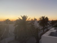 IMG_7274.jpeg
