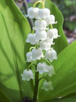 IMG_7935.jpeg