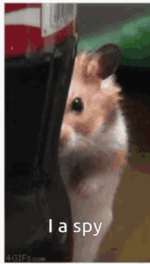 spy-hamster.gif