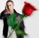 rosa-vermelha-eminem.png