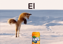 1778079901383.gif