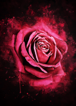 1778081806482.png