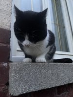 IMG_1643.jpeg IMG_1643.jpeg